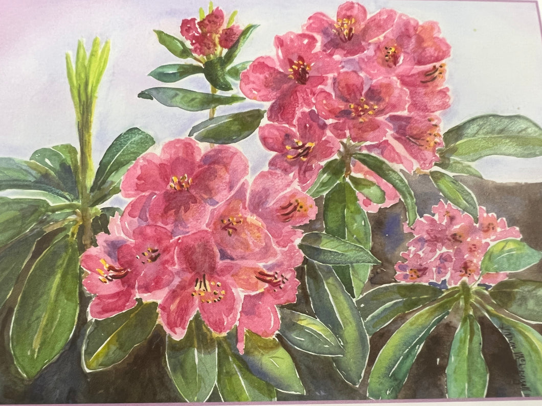 RHODODENDRON SINGLE CARD
